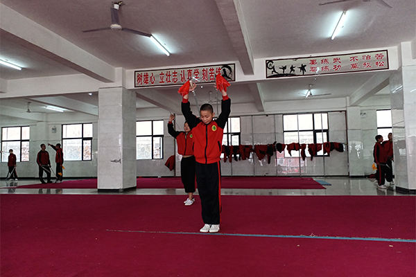 到嵩山少林寺武校学习武术对孩子有哪些好处