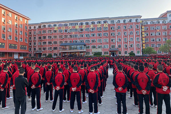 武校毕业适合当什么兵？
