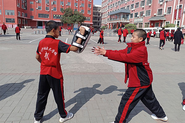 去武术学校学好武术最重要的是什么？