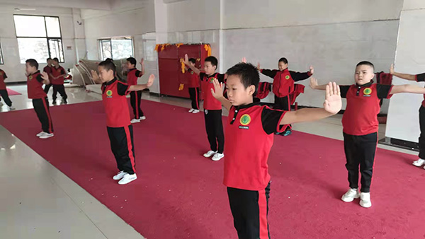 嵩山少林寺武术学校的文化课和普通教育学校是同步的吗?