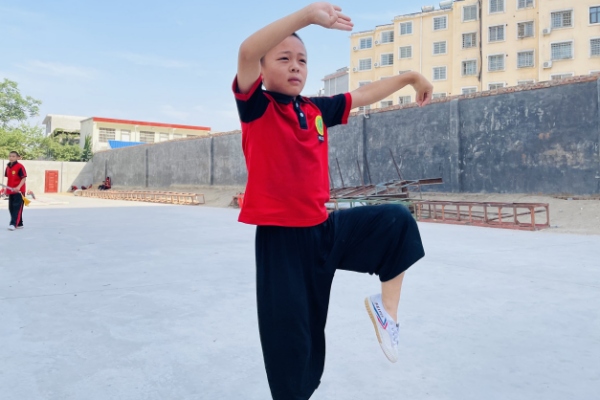 想去嵩山少林寺武术学院，怎么咨询？