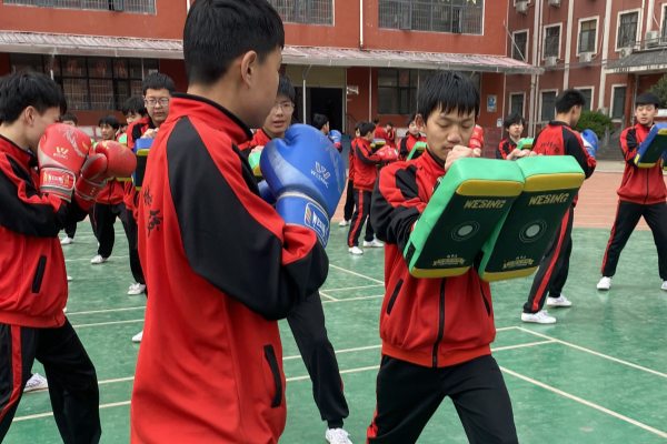 少林武校散打、套路，哪种适合你的孩子？