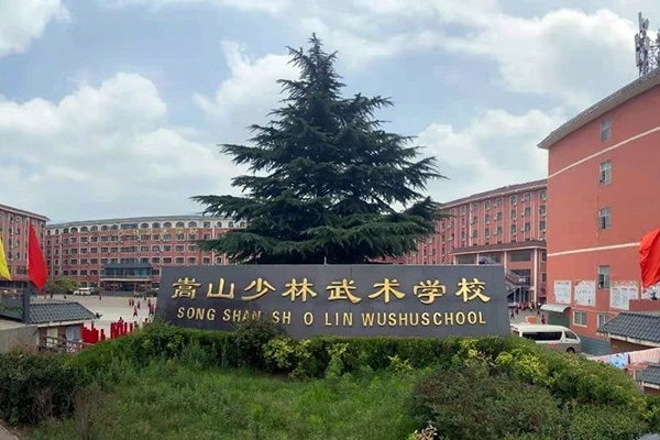 武术学校一年学费多少钱