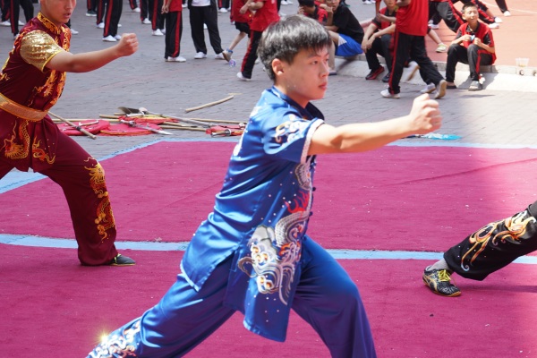 孩子有没有必要去少林武校学武术？