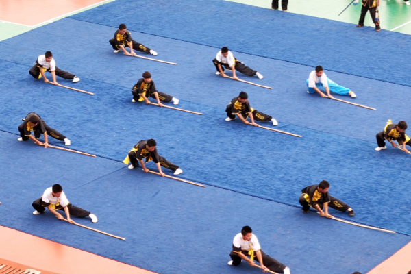 什么样的孩子可以去嵩山少林武术学校？