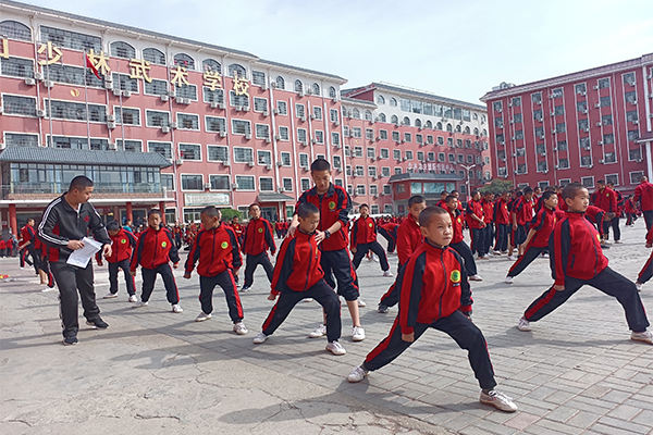 河南哪家武术学校比较专业
